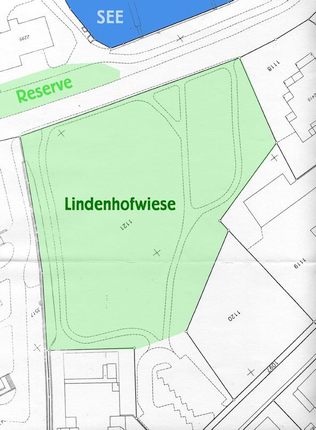 Lindenhofwiese